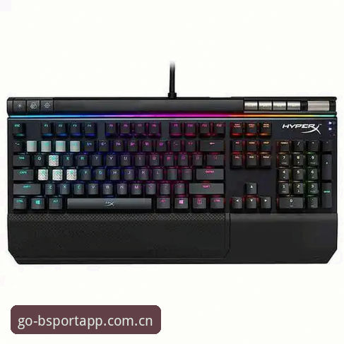 Bsport体育最新版怎么下载？v3.2.1官方正版获取与登录全解析